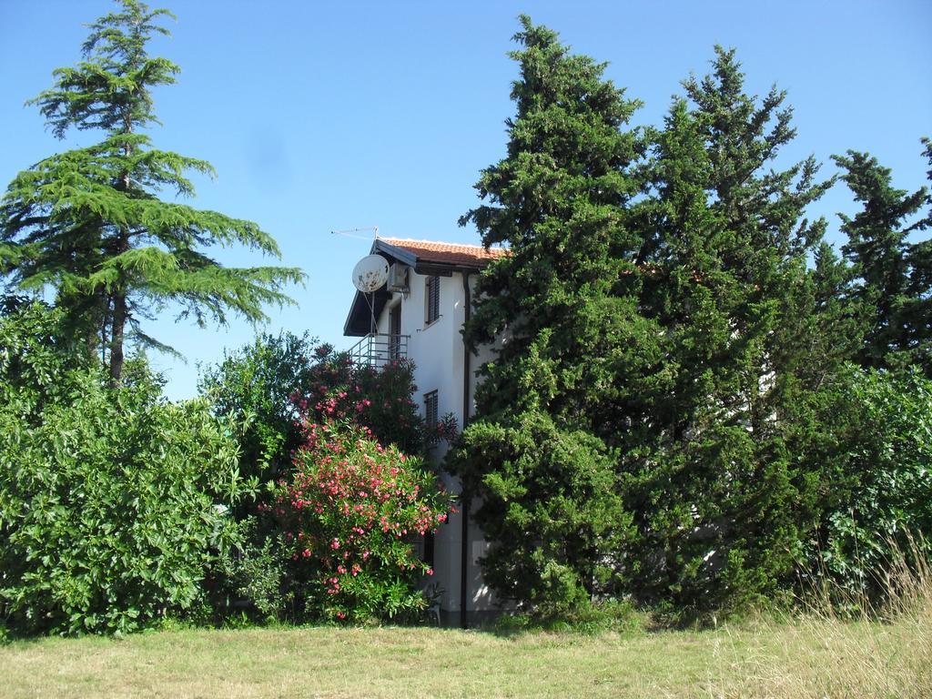 Apartment Lana Привлака Экстерьер фото
